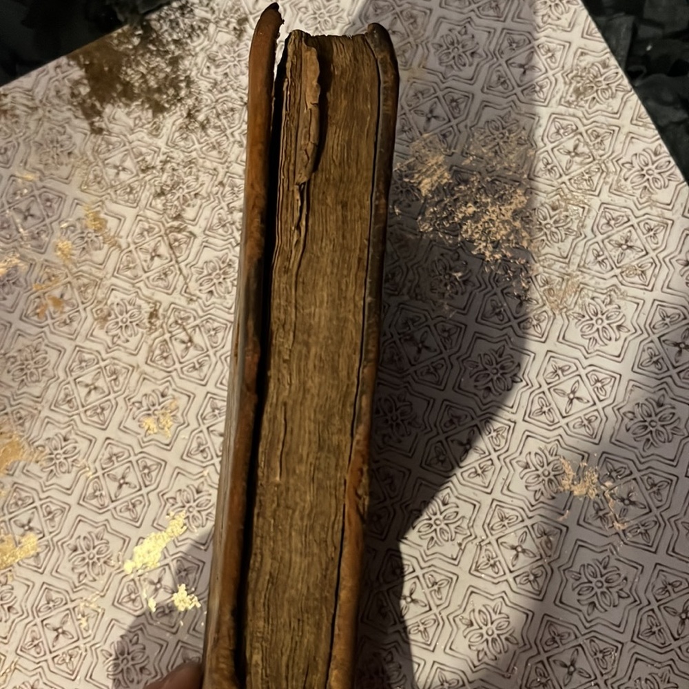 First edition!! Pilgrim’s progress. !! - Picture 5 of 7